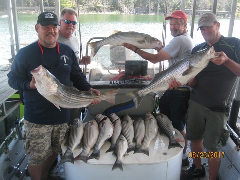 Nice Striped Bass